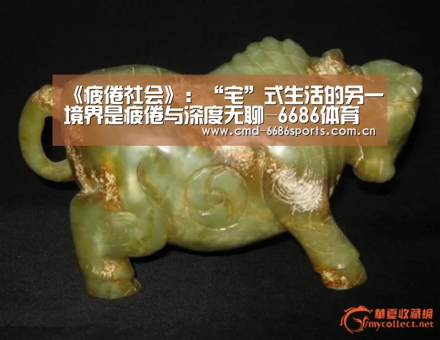 《疲倦社会》:“宅”式生活的另一境界是疲倦与深度无聊-6686体育